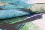 Conceptum Funk Chenille - Green AL 287 Multicolor 150 x 230 cm